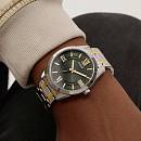 GW0893G1